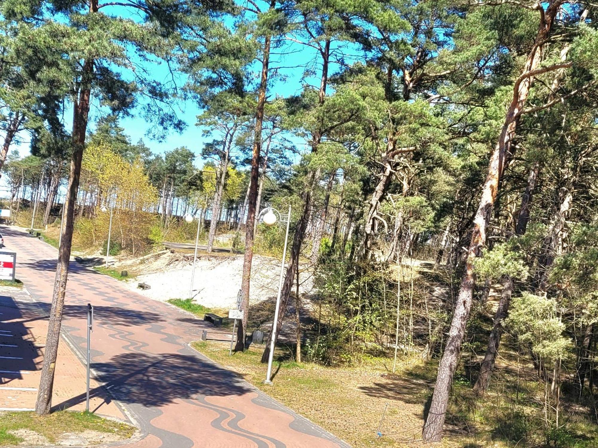 Dom Goscinny U Alicji Pogorzelica  Exteriér fotografie